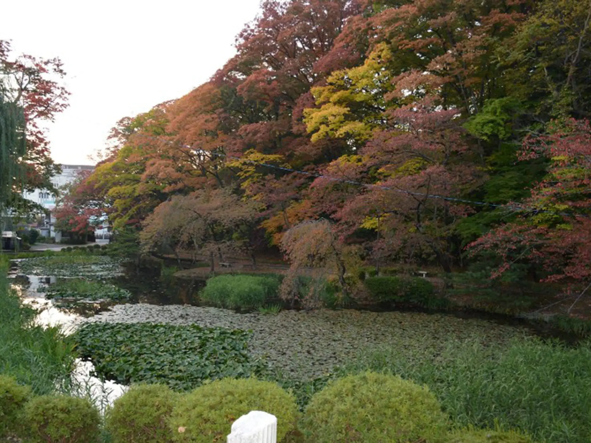 Environment